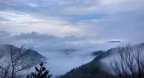 奔跑在云间，MEBO美宝柴古唐斯